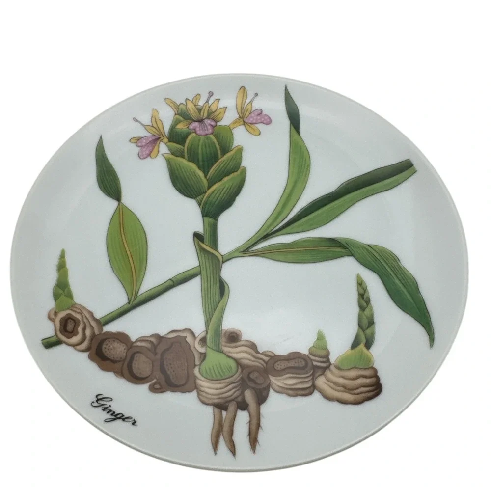 6 NEIMAN MARCUS HORCHOW BOTANICAL FLOWER HERB PLATES DESSERT SALAD